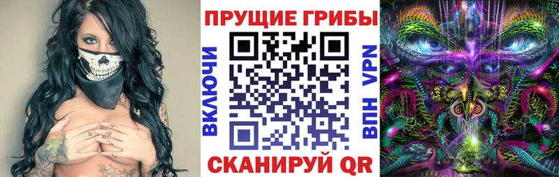 закладки  Мураши  нарко площадка наркотические препараты  Галлюциногенные грибы мицелий 